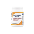 Ergysport Recup 60 cápsulas